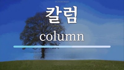 2026년 기획 칼럼(변호사)