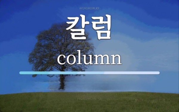 2026-01-30  기획칼럼로고.jpg