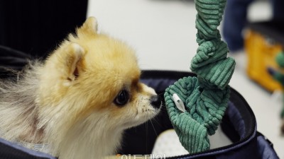 ‘효자상품 만들자’ 펫사업 대박 노리는 제약·바이오