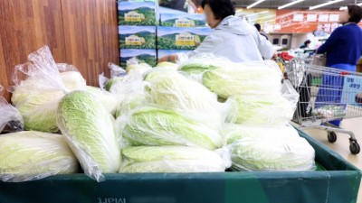 배춧값 잡혔다면서요……올해 김장 '가을 배추'에 달렸다